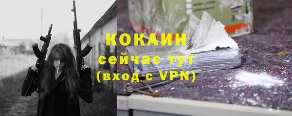 тгк Алексин