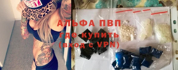 гидра Арсеньев