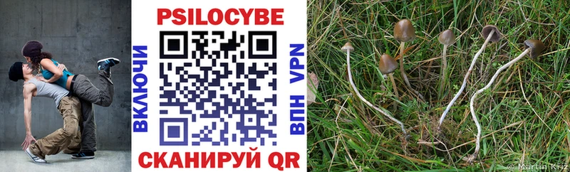 Псилоцибиновые грибы прущие грибы  где найти наркотики  Черногорск 