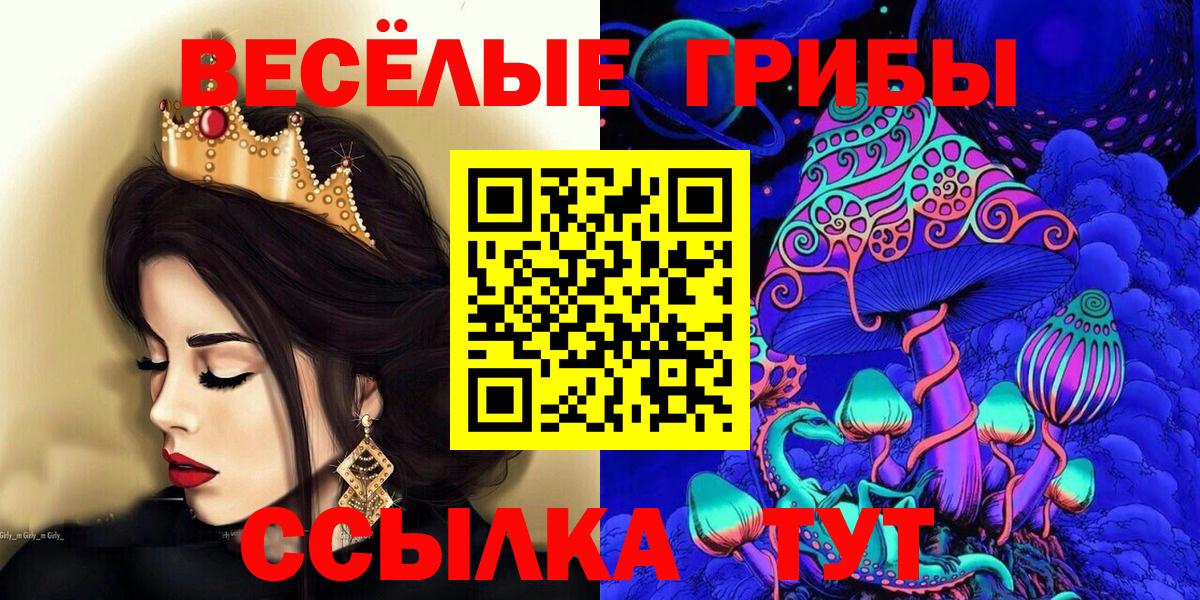 Псилоцибиновые грибы GOLDEN TEACHER Черногорск