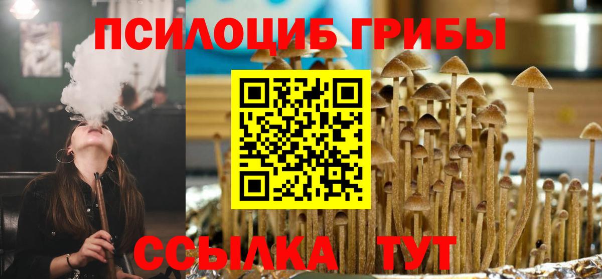 купить   Галлюциногенные грибы мухоморы  Вход с VPN  Черногорск 